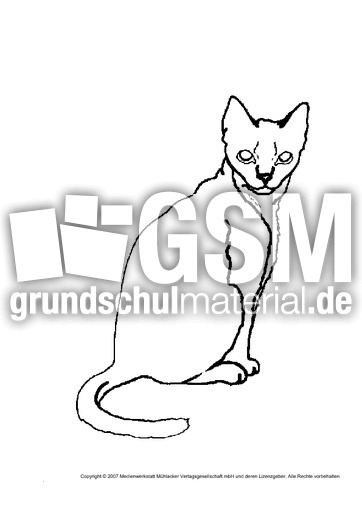 Katze-4.pdf